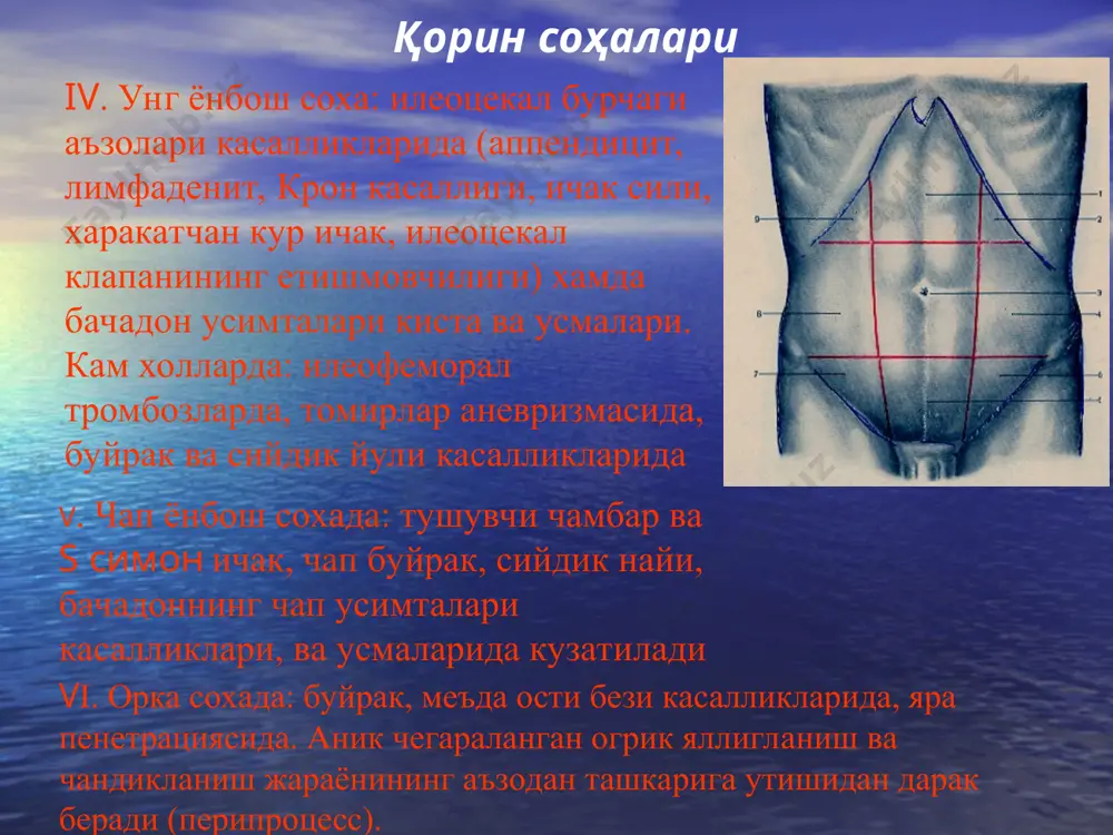 a porfirin va svinets; utkir gepatomegaliya – utkir ung korincha etishmovchiligida (glisson kobigining tortilishi). belgilari: yurak chegarasining kengayishi; taxikardiya, aritmiya, shovkin mavjudligi, pl defitsiti, xansirash, upkada mayda pufakchali xirillashlar. digitalizatsiya. tekshiruv usullari: anamnez (xech kimga ishonma, xamma narsa xakida sura) fizikal tekshiruv usullari: bemorning umumiy axvoli; korinni kuzdan kechirish; paypaslash; perkussiya; auskultatsiya; tugri ichakni barmok bilan tekshirish, vaginal tekshirish; laborator tekshiruvlar: kon umumiy taxlili; peshob umumiy taxlili; kon biokimyoviy taxlili va b.; instrumental tekshiruvlar : rentgenologicheskie isledovaniya (obzornaya skopiya, grafiya, urografiya, irrigoskopiya i dr.; uzd; endoskopicheskie issledovaniya (egdfs, rektoromanoskopiya, kolonoskopiya, rxpg i dr.); ekg; laparoskopicheskie issledovaniya; kompyuternaya tomografiya? urgentnaya angiografiya. v.s. savelev buyicha, 2006g pri vertikalnom polojenii tela gaz skaplivaetsya pod diafragmoy v vide lineynogo prosvetleniya – simptom «kupola» ili «serpa». pritselnaya rengenogramma pravogo podreberya: kontrastirovanie serpovidnoy svyazki pri polojenii na boku gaz opredelyaetsya v protivopolojnom bokovom kanale, mejdu pechenyu i bokovoy bryushnoy stenkoy. lateropozitsiya - gaz v vide serpa …