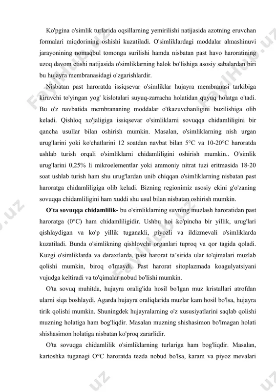 piyozli va ildizmevali o'simliklarda kuzatiladi. bunda o'simlikning qishlovchi organlari tuproq va qor tagida qoladi. kuzgi o'simliklarda va daraxtlarda, past harorat ta’sirida ular to'qimalari muzlab qolishi mumkin, biroq o'lmaydi. past harorat sitoplazmada koagulyatsiyani vujudga keltiradi va to'qimalar nobud bo'lishi mumkin. o'ta sovuq muhitda, hujayra oralig'ida hosil bo'lgan muz kristallari atrofdan ularni siqa boshlaydi. agarda hujayra oraliqlarida muzlar kam hosil bo'lsa, hujayra tirik qolishi mumkin. shuningdek hujayralarning o'z xususiyatlarini saqlab qolishi muzning holatiga ham bog'liqdir. masalan muzning shishasimon bo'lmagan holati shishasimon holatiga nisbatan ko'proq zararlidir. o'ta sovuqga chidamlilik o'simliklarning turlariga ham bog'liqdir. masalan, kartoshka tuganagi o°c haroratda tezda nobud bo'lsa, karam va piyoz mevalari ushbu haroratni bemalol o'tkazishi mumkin. kuzgi boshoqli ekinlar masalan bug'doy -15°-20° haroratda ham bemalol qishlab chiqishi mumkin. shuningdek nina bargli daraxtlarning kurtagi ham o'ta sovuqqa chidamlidir. sovuqqa chidamli o'simliklarda qandning miqdori yuqori ahamiyatga ega bo'lib va ularning qish davomida sarflanishi dinamikasi ham muhim ahamiyatga ega. nitrifikatsiya-bu suvni past …