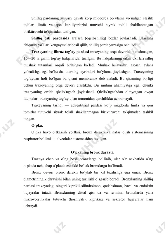 lovchi fermentlar ishlaydi. bosh bronxning ichki diametri 15 mm bo`lib, traxeyaning ikki o`pkaga ajralgan qismidan boshlanadi va traxeya tuzilishidan farqli ravishda, uning tog`ay halqalari yaxlit halqa shaklida tuzilgan. bu esa bronx diametrining barqarorligini ta’minlaydi va havoni bemalol o`tkazadi. ikkinchi tartibdagi bronxlar bo`lak va segmentlar ichida bo`lib, ularning diametri 5 mm dan 10 mm gacha bo`ladi. ularning devori ham traxeya singari 4 pardadan tuzilgan. bu bronxlarning shilliq pardasi ko`p miqdorda qadaxsimon hujayralar tutuvchi bir qavatli ko`p qatorli silindrsimon kiprikli epiteliy bilan qoplangan. epiteliy ostida shilliq pardaning xususiy qavati joylashib, u elastik tolalarga boy siyrak tolali shakllanmagan biriktiruvchi to`qimadan iborat. shilliq va shilliq osti pardalari chegarasida shilliq pardaning mushak plastinkasi joylashadi. bu plastinka o`z navbatida 2 ta yupqa pardalardan: ichki aylana joylashgan silliq mushak hujayralaridan, tashqi uncha rivojlanmagan bo`ylama joylashgan silliq mushak hujayralarining ayrim tutamlaridan tashkil topgan. shilliq osti qavati siyrak tolali shakllanmagan biriktiruvchi to`qimadan tuzilgan. shilliq osti pardada aralash bezlarining oxirgi …