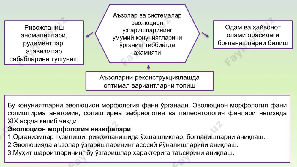 илалар ва личинкаларнинг муҳит шароитига мослашишини таъминловчи янги ўзгаришларнинг ривожланиши. ценогенез кейинги авлодлар эмбриогенезида ҳам қайтарилади, етук организмларда сақланмайди, масалан, провизор аъзолар: амнион, хорион, аллонтоис, сариқлик халтачаси, йўлдош. эмбрионларни ҳар хил механик таъсирлардан сақловчи турли кўринишдаги тухум пардалари, масалан, рептилиялар ва қушлар тухумини оҳакли пардаси ценогенезга мисол бўлади. индивидуал ривожланишнинг муайян босқичларида вужудга келадиган ва кейинчалик йўқолиб кетадиган фойдали мосланишлар ценогенез деб аталади. филэмбриогенезлар ҳомила даврида ҳосил бўлади, лекин уларнинг адаптив аҳамияти етук организмларда намоён бўлади. филэмбриогенезлар тўғрисидаги таълимотни рус олими а.н.северцов яратган. филэмбриогенез қандай боскичларда юзага чиқишига қараб 3 типга ажратилади: 1. анаболиялар - ҳомила ривожланиши охирида, аъзо деярли тўлиқ ривожланиб бўлганидан кейин келиб чиқадиган ўзгаришлар. масалан, одам ҳомилаларида мия қутиси чокларининг бирикиши, қон томирларининг қайта тақсимланишига таъсир қилувчи ўзгаришлар. 2. девиация - эмбриогенезнинг ўрта босқичларида кузатилади. масалан, сутэмизувчилар ва одамда юрак қоринчалари орасида тўсиқнинг ҳосил бўлиши. 3. архаллаксис - эмбриогенезнинг илк босқичларида ҳосил бўлади, янги куртаклар ривожланади. масалан, …