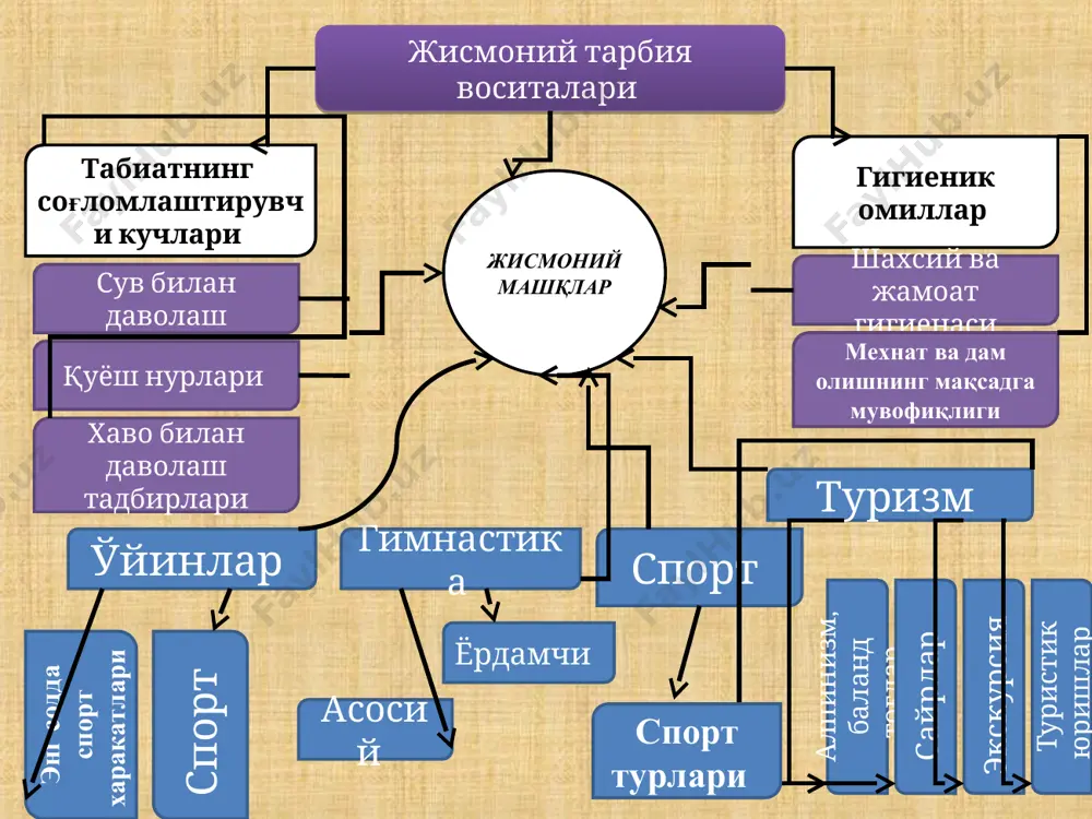 жисмоний машқлар ҳақида маълумотлар - Page 5