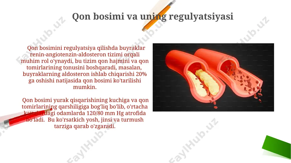 qon aylanishining biomexanikasi - Page 4