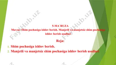 shimpochasiga ishlov berish — PPTX