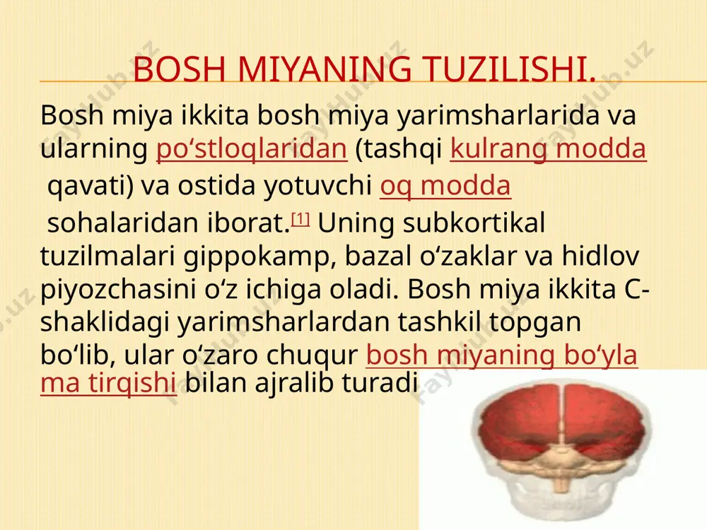 bosh miya yarimsharlari po’stlog’i funksiyasini tekshrish usullari - Page 3