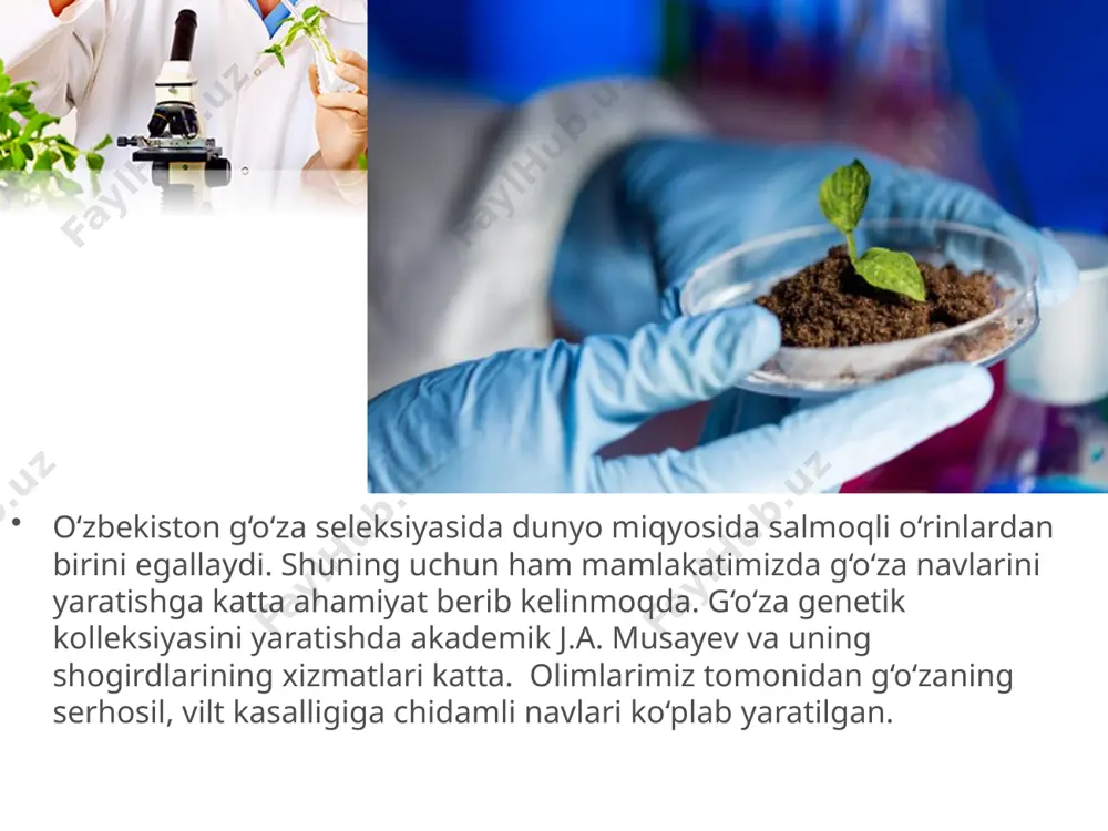 o‘zbekiston olimlarining seleksiya sohasidagi erishgan yutuqlari. 9 - sinf - Page 3