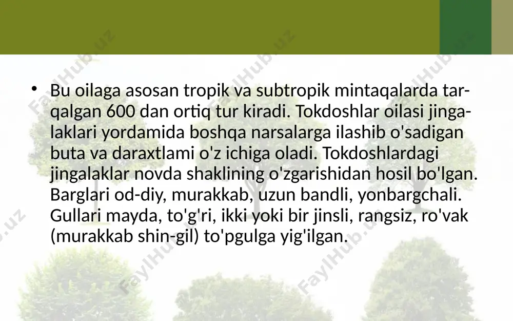 tokdoshlar oilasi. 6 - sinf - Page 3