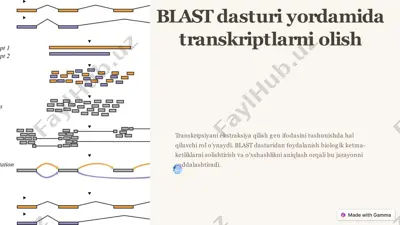 blast dasturi yordamida transkriptlarni olish — PPTX