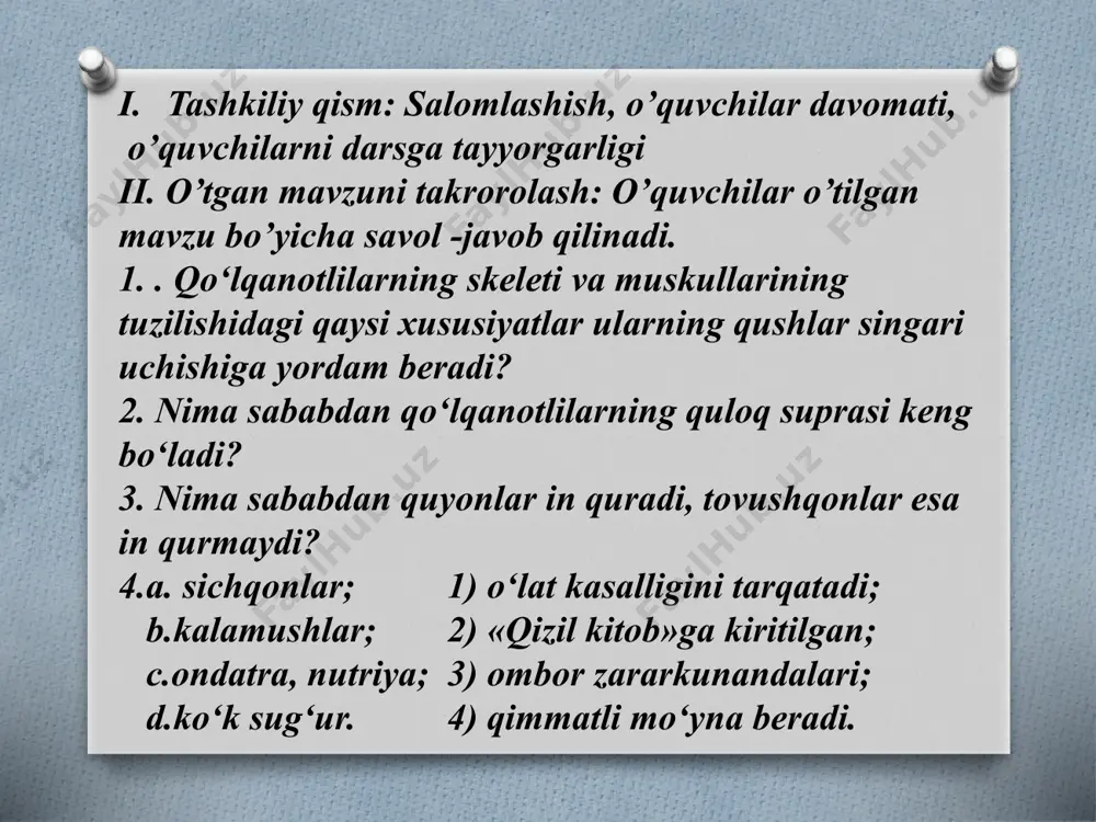 yirtqich sutemizuvchilar turkumi - Page 4