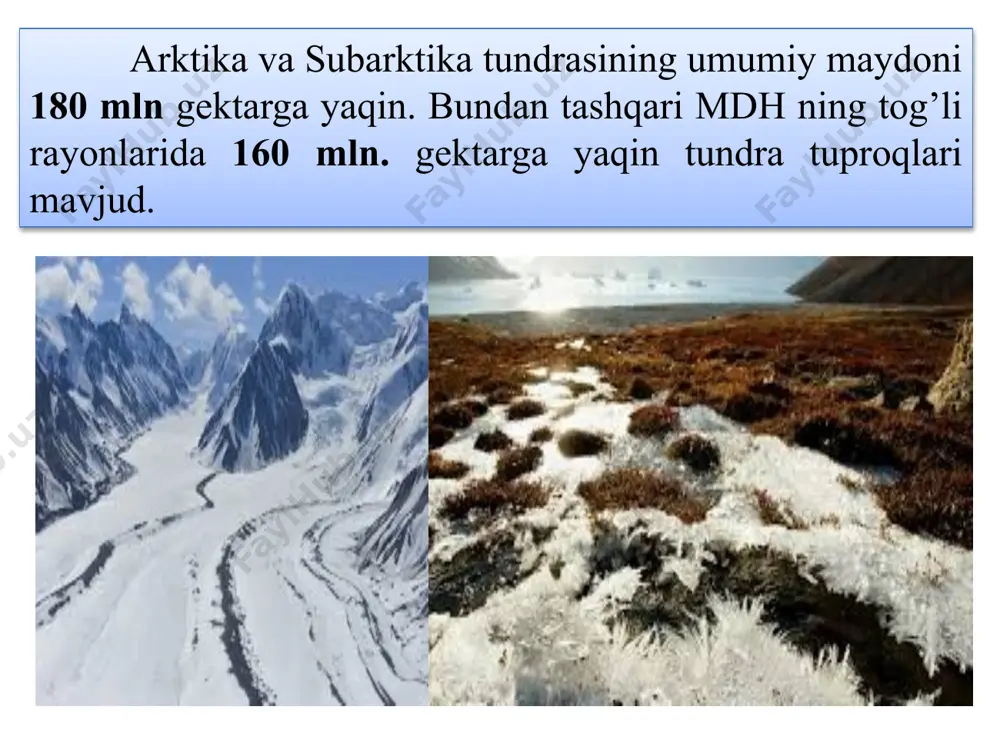 ida asosan tekislik va ancha past balandlikdan iborat bo’lib, bu territoriyada daryo vodiylari jarliklar bilan bo’linib ketgan maydonlar ham uchraydi. dasht zonasi relyefi ancha tekis, ba’zi joylarda balandliklar, jarliklar, soylar ham uchraydi. qora tuproqlar tuzilishi. a – gumusli gorizont. bir xildagi to’q-sur tusga, ba’zan kuchsiz qoramtir alomatga ega. haydaladigan qora tuproqlarda a gorizonti ahay (haydalma gorizont) va a (haydalma osti) gorizontlarga ajratiladi. ab – gumusli o’tuvchi gorizont. a+ab gorizontlar gumusli profil qalinligini belgilaydi. u keng miqyosda 40 sm dan 150 sm gacha o’zgaradi. gorizont yaxshi ifodalangan uvoqli strukturaga ega; b (bc) – o’tuvchi gorizont. qo’ng’ir tusda. gumus oqmalari, gumusli dog’lar uchraydi. chuvolchang inlari, shuningdek karbonatlar oqish tusli tomirlari va miseliyalarining ko’pligi tufayli vujudga keladi; bca (cca) –karbonatli illyuvial gorizont. to’plangan caco3 ning umumiy miqdori 10-14% ga yetadi. pastga tomon ohak miqdori kamayadi. qora tuproqlar profilining pastki chegarasi ona jinslar uchun xarakterli bo’lgan caco3 ning barqaror miqdori bilan aniqlanadi; b – …