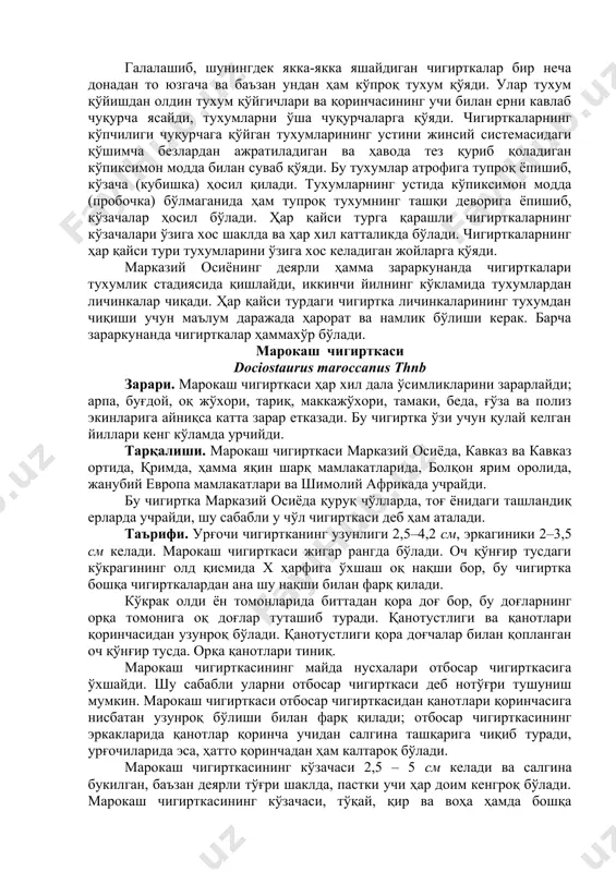 аги ташландиқ ерларда учрайди, шу сабабли у чўл чигирткаси деб ҳам аталади. таърифи. урғочи чигиртканинг узунлиги 2,5–4,2 см, эркагиники 2–3,5 см келади. марокаш чигирткаси жигар рангда бўлади. оч қўнғир тусдаги кўкрагининг олд қисмида х ҳарфига ўхшаш оқ нақши бор, бу чигиртка бошқа чигирткалардан ана шу нақши билан фарқ қилади. кўкрак олди ён томонларида биттадан қора доғ бор, бу доғларнинг орқа томонига оқ доғлар туташиб туради. қанотустлиги ва қанотлари қоринчасидан узунроқ бўлади. қанотустлиги қора доғчалар билан қопланган оч қўнғир тусда. орқа қанотлари тиниқ. марокаш чигирткасининг майда нусхалари отбосар чигирткасига ўхшайди. шу сабабли уларни отбосар чигирткаси деб нотўғри тушуниш мумкин. марокаш чигирткаси отбосар чигирткасидан қанотлари қоринчасига нисбатан узунроқ бўлиши билан фарқ қилади; отбосар чигирткасининг эркакларида қанотлар қоринча учидан салгина ташқарига чиқиб туради, урғочиларида эса, ҳатто қоринчадан ҳам калтароқ бўлади. марокаш чигирткасининг кўзачаси 2,5 – 5 см келади ва салгина букилган, баъзан деярли тўғри шаклда, пастки учи ҳар доим кенгроқ бўлади. марокаш чигирткасининг …