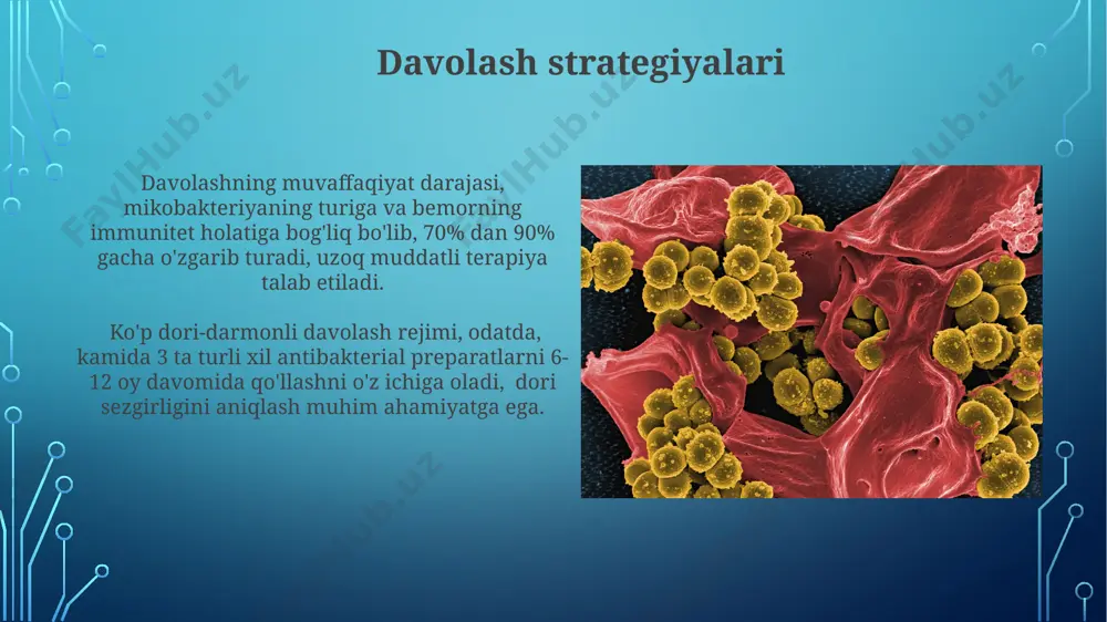 ida 10-20% hollarda noto'g'ri diagnostika qo'yilishi mumkin, shuning uchun sifatli preparat tayyorlash juda muhim. atipik mikobakteriozlarning klinik ko'rinishlari atipik mikobakteriozlar ko'pincha o'pka kasalliklarini, shu jumladan, surunkali yo'tal, ko'krak qafasi og'rig'i va dispneani (nafas olish qiyinlishuvini) 30% hollarda keltirib chiqaradi. limfadenit, terining shikastlanishi va suyak-bo'g'im patologiyalari kabi ekstrapulmoner (o'pkadan tashqari) ko'rinishlar kasallikning taxminan 70 foizida uchraydi va turli yosh guruhlarida kuzatiladi. atipik mikobakteriyalar: kirish ushbu bakteriyalar, suv, tuproq va hayvonlarda mavjud bo'lib, ularning 20 dan ortiq turi insonlarda kasallik keltirib chiqarishi mumkin, diagnostika qiyinchiliklarini keltirib chiqaradi. atipik mikobakteriyalar, mycobacterium tuberculosisdan farqli o'nlab turlarini o'z ichiga olgan, immunitet tanqisligi bo'lgan shaxslarda o'pka va terining turli infektsiyalariga sabab bo'ladi. tashxis qo'yish usullari mikobakteriyalarning turini aniq aniqlash uchun, 16s rrnk genini ketma-ketlik tahlili va maldi-tof mass-spektrometriyasi kabi molekulyar usullar qo'llaniladi. nosel-burun yoki balg'am namunasidan ajratib olingan mikobakteriyalarni aniqlash uchun, mikroskopik tekshiruv (ziy neelsen bo'yash usuli) va madaniy usullar qo'llaniladi, bu esa 4-6 hafta davom …