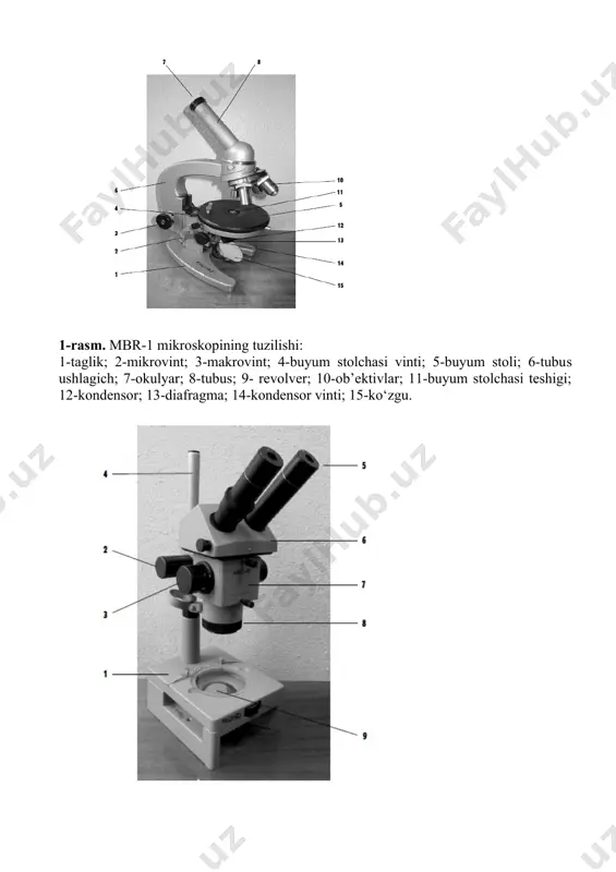 ma 8. noosfera 2. atmosfera 6. hujayraviy 9. biosfera 3. moddalar darajasi 7. organizm 10. populyatsiya-tur 4. gidrosfera 5. tiriklikning fundamental hususiyatlarini belgilang ? 1. o‘z - o‘zini yangilash 4. o‘z - o‘zini tiklash 2. o‘z - o‘zini qo‘zg‘atish 5. o‘z - o‘zini yaratish 3. o‘z – o‘zini boshqarish 6. o‘z - o‘zini himoya qilish 6. tiriklikning biologik mezosistema darajalarini belgilang ? 1. molekulyar 6. populyatsion-tur 2. subhujayraviy 7. to‘qima 3. hujayraviy 8. biogeotsenotik 4. organ 9. biosfera 5. organizm 7. hayotning molekulyar darajadagi ko‘rinishlarini belgilang ? 1. populyatsiya evolyutsiya jarayonining elementar struktura birligi ekanligi 2. biokimyoviy jarayonlarning sodir bo‘lishini ta’minlovchi omillarni yuzaga kelishi 3. organizmning bir hujayradan tashkil topganligi 4. atf hosil bo‘lishi 5. organizmda yuz beradigan jarayonlarning nerv, endokrin sistema orqali boshqarilishi 6. irsiy axboratning saqlanishi 7. ko‘p hujayrali organizmlarning bo‘lishi 8. irsiy axboratni avloddan - avlodga o‘tishi 8. tiriklikning biologik makrosistema darajalarini belgilang ? 1. molekulyar 2. …