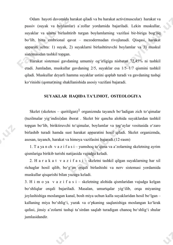 hanoq bo‘shlig‘i shular jumlasidandir. rasm skelet. 1-bosh;,2-umurtqa pog`onasi; 3- o`mrov; 4- kurak;5- qovurg`alar; 6- yelka suyagi ;7 bilak suyagi;8- tirsak suyagi;9- kaft usti suyaklari;10- kaft . suyaklari; 11- barmoq suyaklari; 12- yonbosh suyagi;13- dumg`aza suyagi;14- qov suyagi;15-o`tirg`ich suyagi;16- son suyagi ; 17-tizza qopqog`i; 18- katta boldir suyagi; 19 kichik boldir suyagi; 20-oyoq kaft usti suyaklari; 21- oyoq kaft suyaklari; 22-barmoq suyaklari. bundan tashqari, suyaklar organizmning biologik muhofazasini bajaradigan va to‘qimalarga kislorod yetkazib beradigan qon tanachalarini vujudga keltiradigan ko‘mikni ham saqlab turadi. odam skeleti kalla suyagining tepa bo‘lagi va yuz qismining ba’zi suyaklari, o‘mrov suyaklarining ko‘pgina qismlaridan mustasno². embrionning o‘rta varag‘i – mezoderma uch davrda: 1) biriktiruvchi to‘qima (parda) davri, 2) tog‘aylanish va 3) suyaklanish davrlarida rivojlanadi. suyaklar odam skeleti ikki yuzdan ortiq alohida-alohida suyaklardan tuzilgan, og‘irligi o‘rtacha 5–6 kg yoki gavda og‘irligining 8–10% ini tashkil etadi. skelet suyaklarining aksariyati juft suyaklardir. suyak (os, ossis), asosan, suyak to‘qimalaridan iborat. suyaklar qattiq …