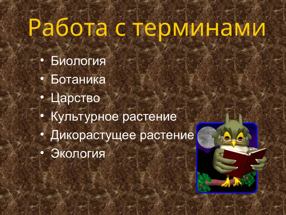 ики - травянистые растения, полный жизненный цикл которого составляет от 12 до 24 месяцев. в первый год у растения вырастают листья, стебли и корни, после чего оно впадает в состояние покоя на зимние месяцы. многолетники - это обширная группа растений, продолжительность жизни которых исчисляется несколькими годами. растение жизненная форма (по размеру) жизненная форма (по возрасту) редька шиповник лук луговой лен долгунец картофель перец острый рожь кукуруза ковыль бамбук фасоль клевер голубика калина растение жизненная форма (по размеру) жизненная форма (по возрасту) редька травы двулетник шиповник кустарник многолетник лук луговой травы многолетник лен долгунец травы однолетник картофель травы многолетник перец острый травы однолетник рожь травы однолетник кукуруза травы однолетник ковыль травы многолетник бамбук травы многолетник фасоль травы однолетник клевер травы многолетник голубика кустарничек многолетник калина кустарник многолетник подумай и ответь! что интересного вы узнали на уроке? где в дальнейшем мы можем использовать изученный материал? кто из одноклассников наиболее удачно отвечал на …