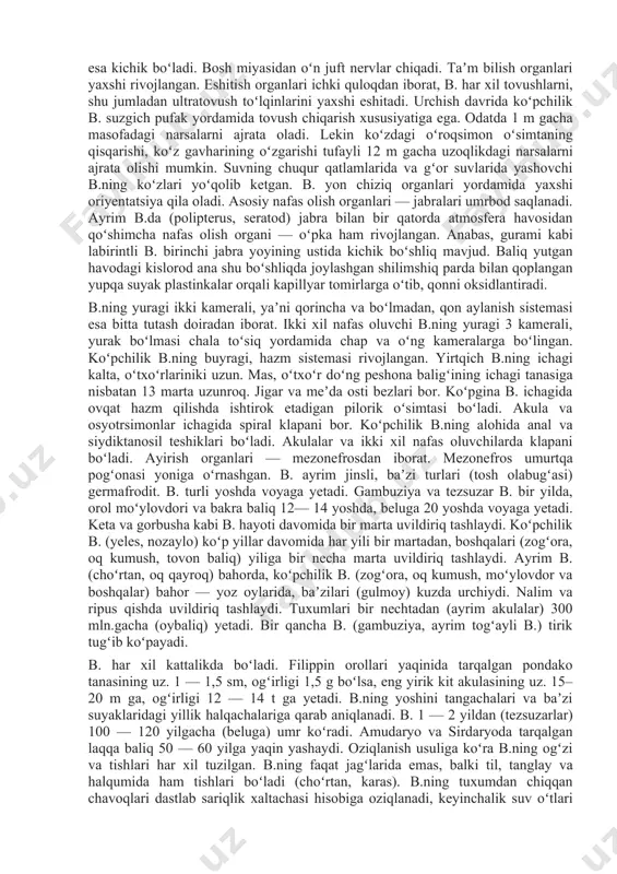 toʻlqinsimon bukib va yozib harakatlanadi. juft va toq suzgichlari harakatlanayotganda tanani boshqarish va muvozanatini saqlash vazifasini bajaradi. tanasi kichikroq yoki yapaloq shaklda boʻlgan b. juft suzgich qanotlarini eshkak kabi suvga urishi yoki toʻlqinsimon harakatlanishi tufayli suzadi. b.ning tanasini bukish xususiyati umurtqalar soniga va terisi sirtidagi tangachalar kattakichikligiga bogʻliq. b. umurtqalari 16 tadan (oy baliqlarda) 400 tagacha (yangi zelandiya kamar baligʻida). bosh skeleti yaxshi rivojlangan, yuz skeleti til osti yoyi va beshtacha jabra yoyidan tashkil topgan jagʻlardan iborat. bosh miyasi har xil darajada rivojlangan. akulalarda oldingi miya, miyacha va hidlov boʻlimi boʻladi. suyakli baliqlarning oldingi miyasi kichik, oʻrta miya va miyacha nisbatan yirikroq, ikki xil nafas oluvchilarning miya yarim sharlari rivojlangan, miyachasi esa kichik boʻladi. bosh miyasidan oʻn juft nervlar chiqadi. taʼm bilish organlari yaxshi rivojlangan. eshitish organlari ichki quloqdan iborat, b. har xil tovushlarni, shu jumladan ultratovush toʻlqinlarini yaxshi eshitadi. urchish davrida koʻpchilik b. suzgich pufak yordamida tovush chiqarish xususiyatiga …