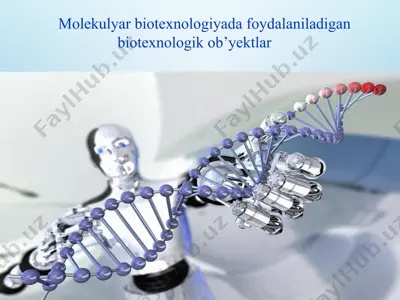 molekulyar biotexnologiyada foydalaniladigan biotexnologik ob’yektlar — PPTX