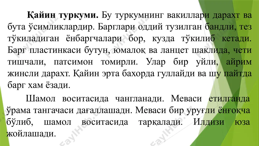 қайиндошлар (ветulасеае) оиласи - Page 5