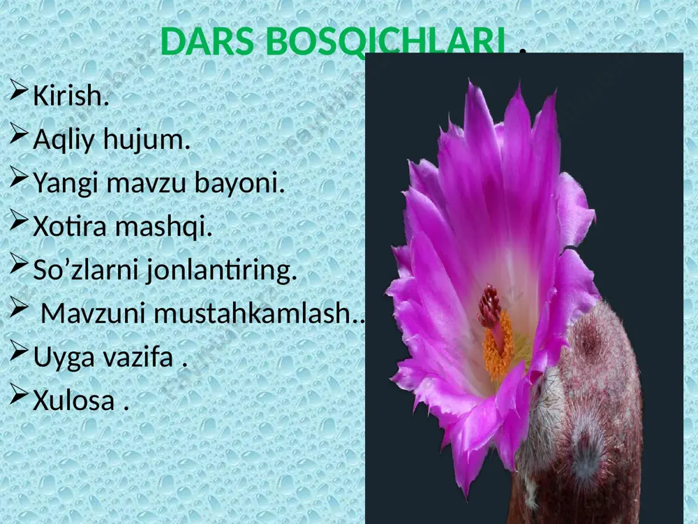 idgacha bo‘lishi mumkin. 1959 yilda s. veys, gurvits va stivent bir-biridan bexabar holda dnk ga boglik; bo’lgan rnk-polimeraza fermentini ochdilar. bu ferment ta'siri jihatidan dnk-polimerazaga o’xshash bo’lib, mg ioni va dnk ishtirokida to’rtala riboknukleotid-trifosfatdan ribonuklein kislota sintezlaydi. ribonukleozid-5-trifosfatlar polimerizatsiyasi fakat 5 '----*3' yo’nalishda boradi. biroq ba’zi, jigar, achitqi va boshka ob'ektlar yadrosidan uch xil rnk-polimeraza ajratib olingan. rnk- polimeraza — a bitta kichik zarrachadan tashkil topgan (molekulyar massasi —500000) bo’lib, yadrochada joylashgan va ribosomal rnk biosintezini katalizlaydi. rnk-polimeraza-v-5 ta kichik zarrachadan hosil bo’lib(molekulyar massasi 425000), nukleoplazmada joylashgan, asosan informatsion rnk sinteziga javobgor. rnk-polimeraza-s o’z molekulasida o’nta polipeptid tutadi (molekulyar massasi 660000), bu ferment ham nukleoplazmada joylashgan bo’lib, 5s-phk va transport rnk larni sintezlaydi. nuklein kislotalar tarkibi rnk ning barcha turlari trnk, rrnk va mrnk sintezlanishida asoslarni komplementarligi qoidasiga binoan dnk asoslarining tartibi rnk asoslarining tartibini belgilaydi. matritsa sifatida ikki zanjirli dnk roli baland, lekin bir zanjirli dnk ham matritsa sifatida …
