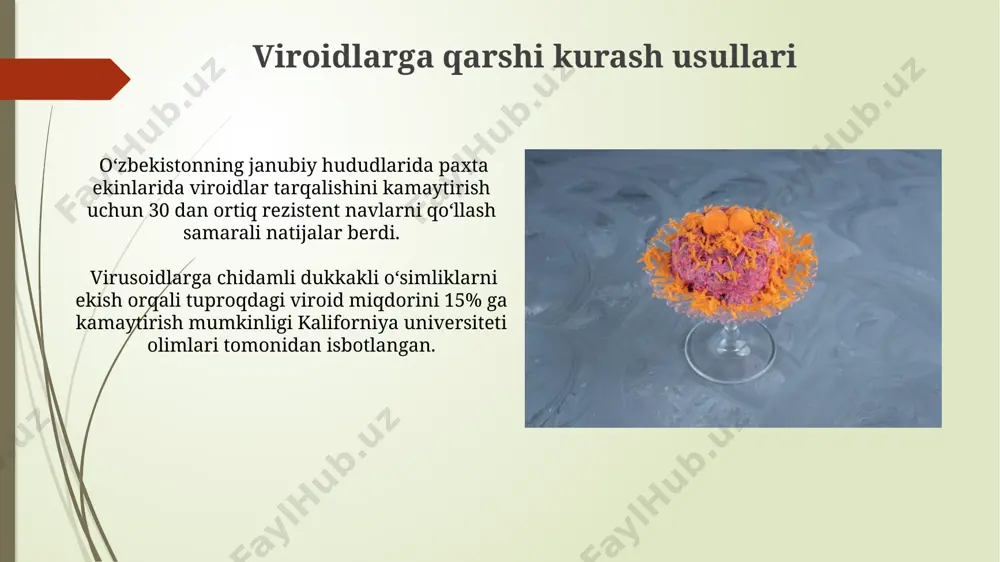 o'simlik namunalarini elisa testi yordamida tahlil qilish, 20-30 ta turli viroidlarni bir vaqtning o'zida aniqlash imkonini beradi va yaponiyada keng qo'llaniladi, yuqori aniqlik va tezkorlik bilan ajralib turadi. kelajakdagi tadqiqotlar yo'nalishlari dunyoning turli mintaqalarida, masalan, janubiy amerikada, virodlardan himoya qilishga qaratilgan yangi, samarali va ekologik toza usullarni ishlab chiqish bo'yicha 10 dan ortiq ilmiy loyiha amalga oshirilishi rejalashtirilgan. kelajakdagi tadqiqotlar virodlarning 20 dan ortiq yangi turlarining genomlarini aniqlashga, shu jumladan, markaziy osiyo mamlakatlarida tarqalgan turlarini o'rganishga qaratilishi kerak. e'tiboringiz uchun rahmat @taqdimot_robot image1.jpg image2.jpg image3.jpg image4.jpg image5.jpg image6.jpg image7.jpg image8.jpg image9.jpg image10.jpg