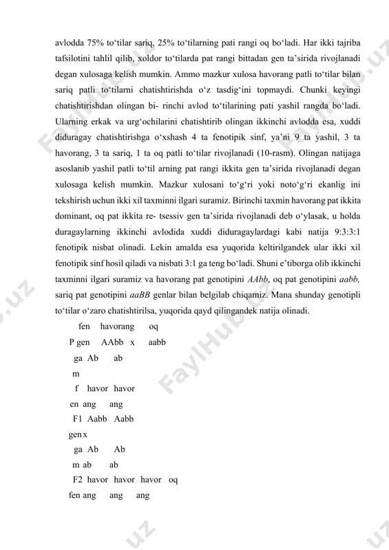 chatishtirganda patning havorang va sariq rang belgisi dominant, oq rang belgisi retsessiv ekanligi, uchinchi- aabbaabb aabb 9 a-b 3 aab 3 a-bb 1 aabb p f 1 f 2 10-rasm. to‘tilarda komplementar holda irsiylanish. abb – havorang; aab – sariq; a-b – yashil; aabb – oq. dan domi nant belgili to‘tilar retsessiv belgili to‘tilar bilan chatishtirilganda ikkinchi avlod duragaylar 3:1 nisbatda xilmaxillik berishi aniqlandi. dominant belgili ikki xil havorang va sariq patli to‘tilarni chatishtirish va f1 f2 duragaylarni tahlil qi- lish yo‘li bilan yashil patli to‘tilarni olish mumkinligi pennet kataklaridagi fenotipik, genotipik sinflarni tahlil qilganda ko‘zga yaqqol tashlanadi. fen havorang sariq p gen aabb aabb gam ab ab f1 fen yashil yashil gen aabb x aabb f 2 ab ab ab ab yashil ab yashil yashil yashil aabb aabb aabb aabb ab yashil havorang yashil havorang aabb aabb aabb aabb ab yashil yashil sariq sariq aabb aabb aabb aabb ab …