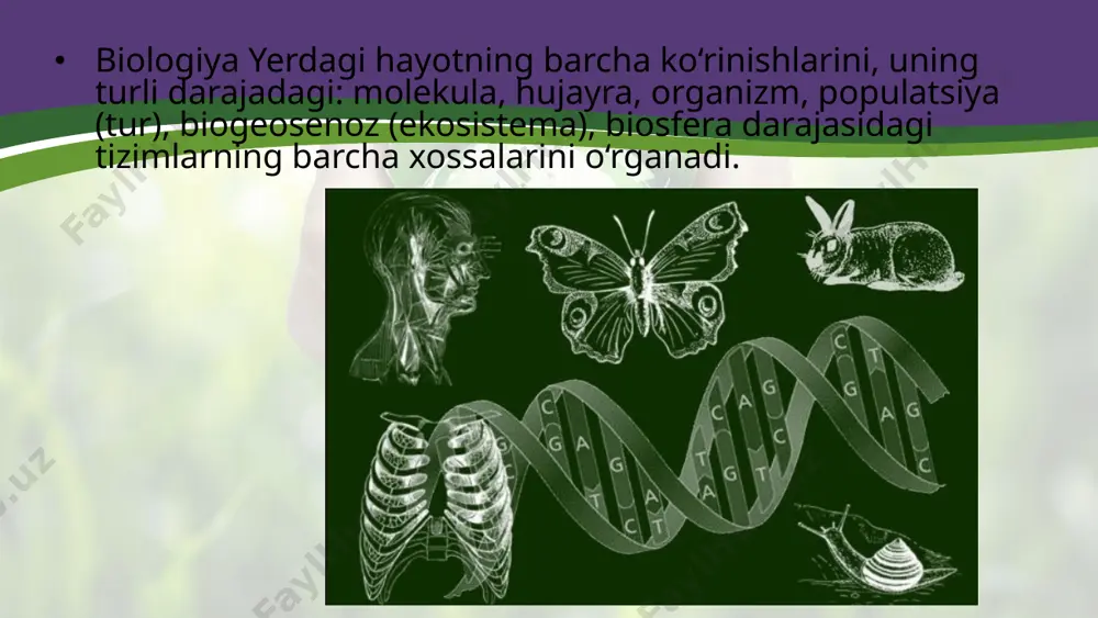 ikning gomologik qatorlar qonuni kashf etilgan. tarixiy metod.mazkur metod turli sistematik guruhlarning evolutsion jarayonda paydo bo‘lishi, takomillashishini dalillar yordamida tushunish va ularni avvaldan mavjud bo‘lgan dalillar bilan qiyoslash, organizmlarning paydo bo‘lishi va rivojlanishi, ularning tuzilishi va funksiyalarining murakkablashib borish qonuniyatlarini bilib olishga imkon beradi. shu orqali organizmlarning paydo bo‘lishi va tarixiy taraqqiyoti qonuniyatlarini asoslab berish mumkin. tarixiy metod turli era va davrlarda organizmlarning paydo bo‘lishi va organik olam evolutsiyasini o‘rganishda qo‘llaniladi. eksperimental (tajriba) metodi.maxsus tashkil etilgan sharoitda tirik organizmlar tuzilishi, hayot jarayonlarini o‘rganish eksperimental metodorqali amalga oshiriladi. bu metod organizmlar xatti-harakati, tuzilishi, xossalari mohiyatini tajribalar yordamida chuqurroq tadqiq qilish imkonini beradi. g. mendelning irsiylanish qonu niyatlarini o‘rganishga bag‘ishlangan ishlari fanda tajriba usulini qo‘llashning yorqin namunasidir. bio logik tadqiqotlar uchun zamonaviy asbob-uskunalarning paydo bo‘lishi bu usuldan keng foydalanish imkonini berdi. modellashtirish metodi.biologik tadqiqotlarda tobora keng qo‘l lanilayotgan modellashtirish metodining mohiyati tirik tabiatdagi hodisalar va ularning jihatlarini matematik belgilarga aylantirib, model tarzida …