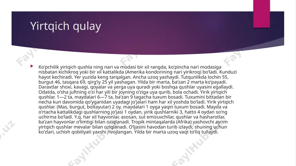 yirtqich qushlar - Page 4