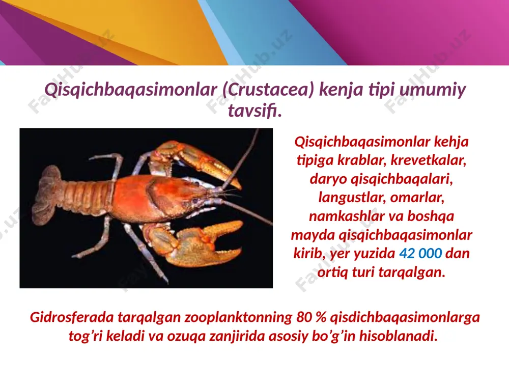 rlari bor. qisqichbaqaning tanasi: bosh (6 bo‘g‘im) ko‘krak (8 bo‘g‘im) qorin (7 bo‘g‘im) adabiyоtlar: 1. g.g.abrikosov va boshqalar. «zoologiya» 1 - 2 jilt. t: 1966. 2. v.f.natali «umurtqasiz hayvonlar zoologiyasi». t: 1966. 3. s.p. naimov. «umrtqali hayvonlar zoologiyasi» 1995 y. 4. o mavlonov .sh.xurramov «umirqasizlar zoologiyasi» t. 1988 y. 5. e.i.lukin «zoologiya» moskva 1989 image1.jpeg image2.jpeg image3.jpeg image4.jpeg image5.gif image6.jpeg image7.jpeg image8.jpeg image9.jpeg image10.jpeg image11.jpeg image12.jpeg image13.jpeg image14.jpeg image15.jpeg image16.jpeg image17.jpeg image18.jpeg image19.jpeg image20.jpeg image21.jpeg image22.jpeg image23.png image24.jpeg image25.jpeg