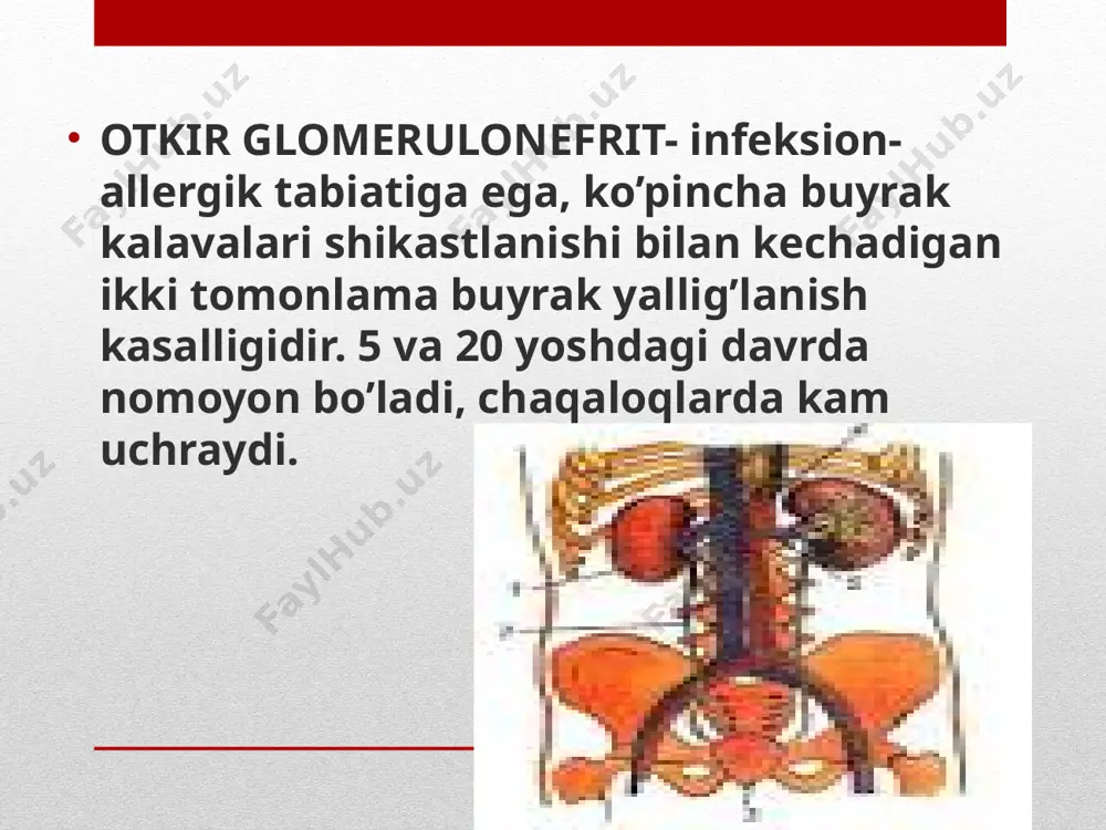 ik miqdorining kamayishi, siydikda oqsil va qon paydo bo’lishi, a\b ko’tarilishi bilan ifodalanadi. shish 2-3 hafta mobaynida kuzatiladi, so’ngra siydik miqdori ko’paya borib a\b pasayadi. ko’pincha surunkali nefritga o’tadi. kasallik asta sekin boshlanadi, sezilar sezilmas hansirash, oyoqlarda shish paydo bo’lishi bilan ifodalanadi. siydik tarkibida o’zgarishlar 2-6 oy davom etadi. diagnostika (infeksiya bilan bog’liq)  o’tkir diffuz glomerulonefrit kasallik yoshlarda uchraydi. surunkali glomerulonefrit qon bosimining yuqori bo’lishi, yurak chap qorincha gipertrofiyasi buyrak funksiyasi o’zgargan, rentgenologik tekshiruv natijasida angioneyroretinopatiya aniqlanishi shishlar, hansirash, gipertoniya siydikda oqsil va eritrotsitlar borligi davosi rejim dieta medikamentoz terapiya yallig’lanish mediatorlorlari va allergiya faolligini to’xtatuvchi preparatlar( nalkrom, dimedrol..) etiotrop antibakterial terapiya (penitsillin guruhi) glyukokortikosteroidlar diuretiklar ( yaqqol shish sindromi va oliguriya) laziks, furasemid 1-3-5 mg\kg\sut 1-2 yuborishda v\i gipotenziv preparatlar: doza individual nosteroid yallig’lanishga qarshi preparatlar. aspirin(tab 0,1; 0,25; 0,5g) ----tomoq, burun qo’shimcha bo’shliqlari, teri streptokokk infeksiyasini va stafilokokkli infeksiyani erta va jadal davolashdan iborat. ----surunkali infeksiya o’choqlarini …