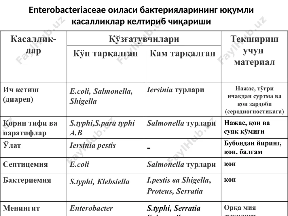 itrati − kristensen tsitrati ± inozit ± ureaza − atseton hosil qilishi − ksiloza ± natriy malonat − jelatina gidrolizi − laktoza ± n2s − arginin degidrolaza ± mannit ± fenilalanin − ornitin dekorbaksilaza ± ramnoza ± natriy atsetat − adonit ± rafinoza ± harakatchanligi ± arabinoza ± salitsin ± lizin dekorbaksilaza ± glyukoza ± saxaroza ± metilen qizil b-n reak. + dultsit ± sorbit ± antigen xususiyatlari: o- antigen bo'yicha 173 serologik varianti bor n- antigen bo'yicha 56 serologik varianti bor k- antigen bo'yicha 80 serologik variati bor serologik tiplarini aniqlashda maxsus antizardob bilan identifikatsiya qilinadi: masalan – e.coli o111:k55:n3 tekshirish uchun material: najas,qusuk massasi va bosh. mikrobiologik – endo muhitiga ekish va sof kulturasini ajratib olish va identifikatsiya qilish serologik – rnga if. iersiniozlar iersenozlar iersinia avlodiga mansub bo'lib, tashqi muhitda keng tarqalgan, tabiiy holatda ular ko'proq hayvonlarda, jumladan kemiruvchilarda va odamlarda kasallik keltirib chiqaradi. shuning uchun ularnig …