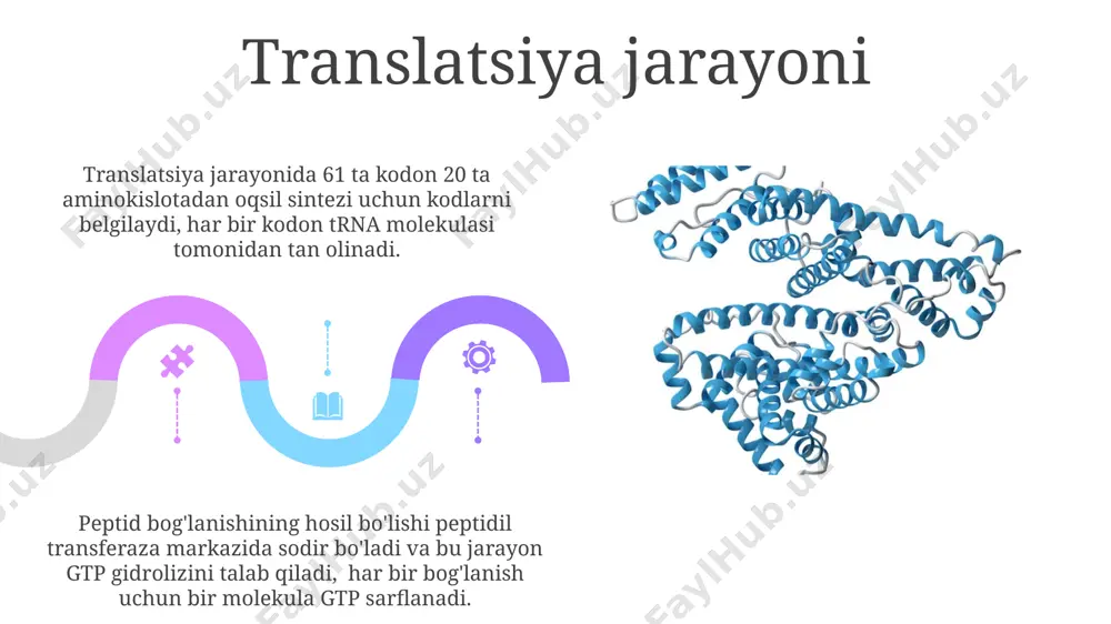 hujayrada oqsil biosintezi - Page 5