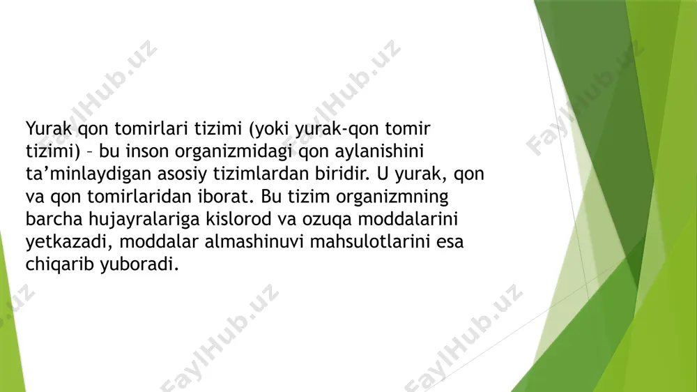iolalar va venulalarni bog‘laydi. • odatda, har bir to‘qima yoki a’zoda kapillyarlar tarmog‘i mavjud. arteriolalar arteriolalar — bu kichik arteriyalar bo‘lib, ular kapillyar tarmoqlar bilan bevosita bog‘lanadi. xususiyatlari: • devori silliq mushak tolalaridan iborat. • arteriolalar qon oqimini va bosimini mahalliy ravishda tartibga soladi. • ular qisqarganda — kapillyarlarga oqadigan qon miqdori kamayadi. • kengayganda — qon oqimi ortadi. • shuningdek, ular qarshilik tomirlari (resistance vessels) deb ataladi, chunki ular qon oqimiga eng katta qarshilikni hosil qiladi. venulalar venulalar — bu kapillyarlardan kelayotgan qonni to‘plab, venalarga olib boradigan eng kichik venalardir. venulalarning xususiyatlari: • ular kapillyarlarga tutashgan bo‘ladi va ularning devorlari juda nozik. • venulalar orqali qon bosimi juda past bo‘ladi. • ular moddalar va hujayralarning (leykotsitlar) to‘qimalarga o‘tishida muhim rol o‘ynaydi. • venulalar birlashib, yirikroq venalarni hosil qiladi. atrioventrikulyar anastomozlar 1. ta’rifi atrioventrikulyar anastomozlar — bu yurakning quloqchalari (atriumlar) va qorinchalari (ventrikullar) orasida joylashgan anatomik va funksional aloqalar bo‘lib, …