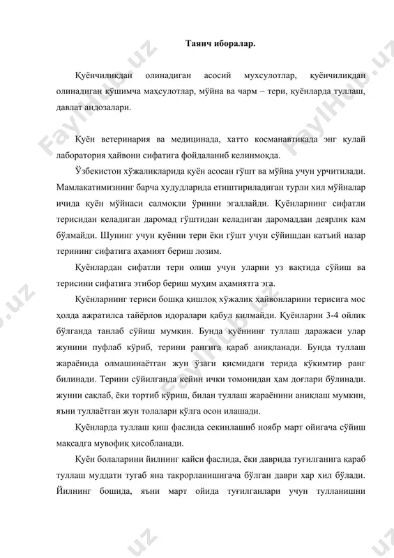 0 кун муддат керак. сакраш бугунидан тери айлантириб кесилиб, орқа оёқни ички томонидан кесилиб орқа чиқарув тешигига бирлаштирилади. деярли қолган қисмдаги тери кул билан мешсимон ажратилади. дум умуртқа суякларидан ажратилади. (бундан олдин олдинги оёқлардан кўтариб қорни баландга силаниб, сийдикни чиқариш керак). сўнгра тери пастга тортилади. қари қуёнларда қулоқ тоғайи, кўзларининг атрофи, бурун ва лаблари пичоқ ёрдамида олдинги оёқлари кафт бугунидан кесиб қулоқ тоғайлари олиниб клей тайёрлашга топширилади. ажратилган тескари ҳолатдаги мешсимон тери махсус тўғрилагичларга кийдирилади. тўғрилагич узунлиги 100 см, баландиги эни 5 см, охирги эни 30 см. гача бўлади. ёғочдан ясаб, понали шаклда кулай, терини таранглашга унгай бўлади. терини тузламасдан шамол тегадиган, сояда ҳарорат 300с, дан ошмайдиган жойда тик куритилади. кўришдан олдин теридаги ёг ва ет кодиклариутмас пичоқ билан дум томонидан бошига қараб тозаланади. дастлаб ишлаган қуён терисининг вазни 1,1 кг. дан ам бўлмаслиги лозим. яхши қуриган терилар тахтланиб тайёрлов идораларига, ёки шартнома асосида истеъмолчиларга топширилади. қуён мўйнасидан чиройлик пальто, …