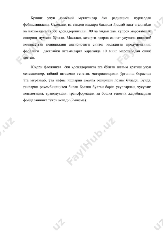 қарида рекомбинант днк яратиш ётади. бу технологиядан фойдаланиш оқибатида генларни соф ҳолда ажратиш, уларни модификация қилиш, бирини иккинчисига улаш, “генлар мажмуаси” яратиш, оқибатида бутунлай янги хусусиятига эга бўлган оқсил синтез қилиш имконияти яратилди ва уни оқсиллар муҳандислиги деб аталади (4–чизма). 3-чизма. протопластларнинг қўшилиши орқали махсулдор мутант штаммлар олиш механизми 4-чизма. плазмида днк си ва бактерия ҳужайрасидан фойдаланиб, генни клонлаш чизмаси вектор ген билан лигаза ферменти ёрдамида бириккандан кейин рекомбинант днк ҳосил бўлади. кейин, бу бирикма (вектор ген) микроорганизм ҳужайрасига юборилади (трансформация) ва у ерда амплификация (кўпайиш) амалга ошади. натижада бир геннинг бир неча нусхаси – клон пайдо бўлади. шунинг учун ҳам бу йўлни клонлаш деб аталади. агар клонлаш мақсадида ҳамма генлар сақловчи одам днк си ишлатилса, одамнинг ген кутубхонаси (клонотека) ҳосил бўлади. бу усулда бактерияларга клонлаштирилган инсон, ҳайвон ёки ўсимликлар генлари тўғридан-тўғри бактерияда фаолият кўрсата олмайди. ишлаш учун эса, уларни бактериядан ажратиш, бактерия генини бошқарувчиси (регулятори) билан жиҳозлаш ва қайтадан …