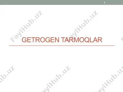getrogen tarmoqlar — PPTX