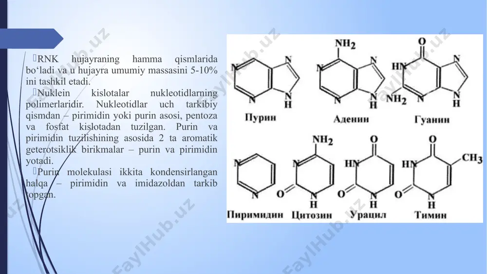 siya paytida dumaloq g'ildirak replikatsiyasi orit ketma-ketligidan boshlanadi. f-plazmidlar . ko'pgina organizmlarning mitoxondriyal dnksi ikkita ori ketma-ketligini o'z ichiga oladi. odamlarda ular dnkning og'ir va engil iplari uchun mos ravishda orih va oril deb ataladi. 22 replikatsiya vilkasida dnk asosiy fermenti dnk polimeraza bo'lgan katta protein kompleksini (replikizom) ko'chiradi. replikatsiya vilkasi prokaryotlarda daqiqada taxminan 100000 tayanch juftlik tezligida va eukaroyitlarda 500-5000 ta tezlikda harakatlanadi. okazaki r, okazaki t, sakabe k, sugimoto k. dnk replikatsiyasi mexanizmi va dnk zanjiri o'sishining mumkin bo'lgan uzluksizligi // jpn j med sci biol. 1967 yil iyun;20(3):255-260. tsuneko va reiji okazaki leonard xeyflik 1960-yillarda u hujayra madaniyatida inson hujayralarining bo'linish sonining chegarasini topdi: hujayralar taxminan 50 bo'linishdan keyin o'ladi va bu chegaraga erishilganda qarish belgilari namoyon bo'ladi. (hayflick chegarasi) telomerlar o'ziga xos telomerik oqsillar tomonidan barqarorlashtirilgan ko'plab saqlanib qolgan tg takrorlaridir . replikatsiya siklidan o'tib, telomerlarni 100-200 bp ga qisqartirgandan so'ng. eukariotlarda telomeraza deb ataladigan maxsus …