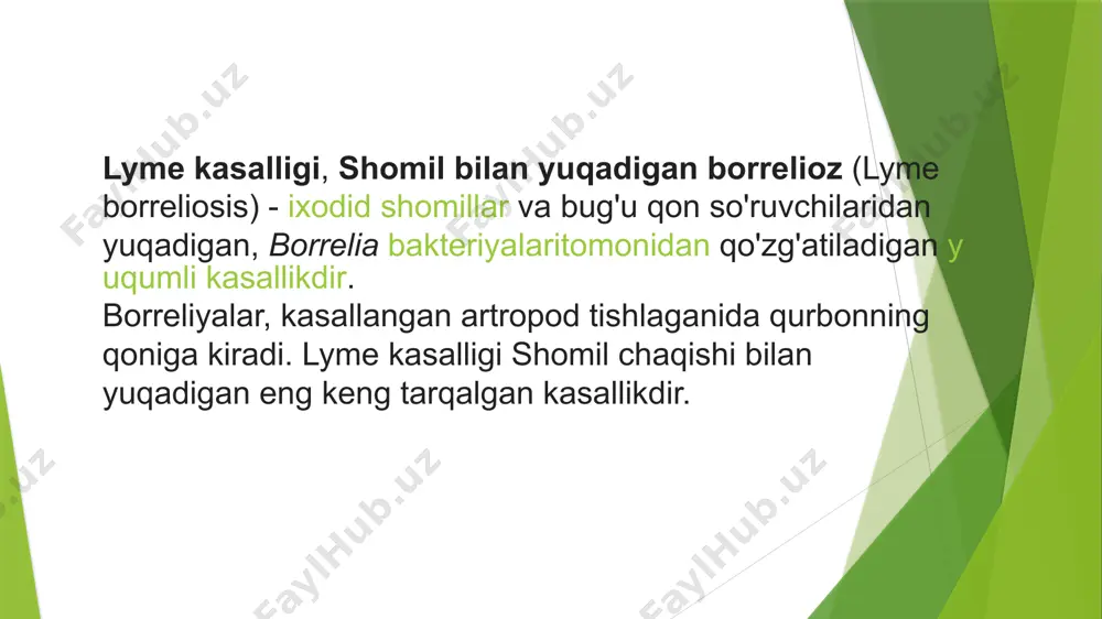 ttalarga qo'yilgan. аллен стир boshchiligidagi tibbiy guruh tomonidan kasalliklarni nazorat qilish markazlarining revmatologiya bo'limida olib borilgan tadqiqotlar (inglizcha: allen steere, kasallik shomil chaqishi keyin sodir bo'ladi, deb topildi va artrit ko'pincha eritema migrans annulare bilan birlashtirildi. patogenning asosiy tashuvchisi ixodes shomil (ixodes damini) 1977-yilda aniqlangan. 1982-yilda villi burgdorfer (inglizcha: willy burgdorfer birinchi bo'lib borrelia jinsining spiroxetaga o'xshash mikroorganizmlarini ajratdilar, keyinchalik borrelia burgdorferi deb atagan. amerikalik tadqiqotchilar borrelioz bilan kasallangan bemorlarning qonida va miya omurilik suyuqligida borrelia burgdorferi ni aniqladilar, bir qator bemorlarda b. burgdorferiga antitelalar ham aniqlandi. ushbu ma'lumotlar lyme kasalligining etiologiyasi va epidemiologiyasini to'liq ochish imkonini berdi. tasnif kasallikning shakllari: yashirin, manifest. oqim bilan: o'tkir subakut; klinik belgilarga ko'ra: o'tkir va subakut oqimi eritema shakli eritematoz bo'lmagan shakl asab tizimi, yurak, bo'g'imlarning asosiy lezyoni bilan asab tizimining, bo'g'imlarning, terining, yurakning asosiy shikastlanishi bilan og'irligi bo'yicha: og'ir o'rtacha yengil infektsion belgilari: seronegativ seropozitiv хyashirin shakl tashxisni laboratoriya tasdiqlashi va kasallikning …