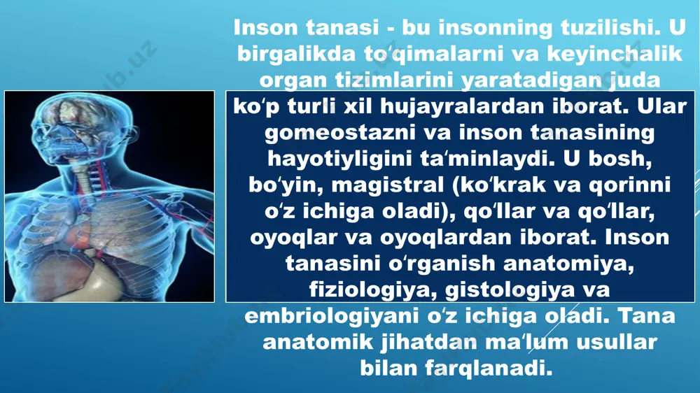 grams/colors7.xml ppt/diagrams/drawing7.xml ppt/diagrams/data8.xml ppt/diagrams/layout8.xml ppt/diagrams/quickstyle8.xml ppt/diagrams/colors8.xml ppt/diagrams/drawing8.xml ppt/diagrams/data9.xml ppt/diagrams/layout9.xml ppt/diagrams/quickstyle9.xml ppt/diagrams/colors9.xml ppt/diagrams/drawing9.xml ppt/diagrams/data10.xml ppt/diagrams/layout10.xml ppt/diagrams/quickstyle10.xml ppt/diagrams/colors10.xml ppt/diagrams/drawing10.xml ppt/diagrams/data11.xml ppt/diagrams/layout11.xml ppt/diagrams/quickstyle11.xml ppt/diagrams/colors11.xml ppt/diagrams/drawing11.xml ppt/diagrams/data12.xml ppt/diagrams/layout12.xml ppt/diagrams/quickstyle12.xml ppt/diagrams/colors12.xml ppt/diagrams/drawing12.xml ppt/diagrams/data13.xml ppt/diagrams/layout13.xml ppt/diagrams/quickstyle13.xml ppt/diagrams/colors13.xml ppt/diagrams/drawing13.xml ppt/diagrams/data14.xml ppt/diagrams/layout14.xml ppt/diagrams/quickstyle14.xml ppt/diagrams/colors14.xml ppt/diagrams/drawing14.xml ppt/diagrams/data15.xml ppt/diagrams/layout15.xml ppt/diagrams/quickstyle15.xml ppt/diagrams/colors15.xml ppt/diagrams/drawing15.xml ppt/diagrams/data16.xml ppt/diagrams/layout16.xml ppt/diagrams/quickstyle16.xml ppt/diagrams/colors16.xml ppt/diagrams/drawing16.xml ppt/diagrams/data17.xml ppt/diagrams/layout17.xml ppt/diagrams/quickstyle17.xml ppt/diagrams/colors17.xml ppt/diagrams/drawing17.xml ppt/diagrams/data18.xml ppt/diagrams/layout18.xml ppt/diagrams/quickstyle18.xml ppt/diagrams/colors18.xml ppt/diagrams/drawing18.xml ppt/diagrams/data19.xml ppt/diagrams/layout19.xml ppt/diagrams/quickstyle19.xml ppt/diagrams/colors19.xml ppt/diagrams/drawing19.xml ppt/diagrams/data20.xml ppt/diagrams/layout20.xml ppt/diagrams/quickstyle20.xml ppt/diagrams/colors20.xml ppt/diagrams/drawing20.xml ppt/diagrams/data21.xml ppt/diagrams/layout21.xml ppt/diagrams/quickstyle21.xml ppt/diagrams/colors21.xml ppt/diagrams/drawing21.xml ppt/diagrams/data22.xml ppt/diagrams/layout22.xml ppt/diagrams/quickstyle22.xml ppt/diagrams/colors22.xm