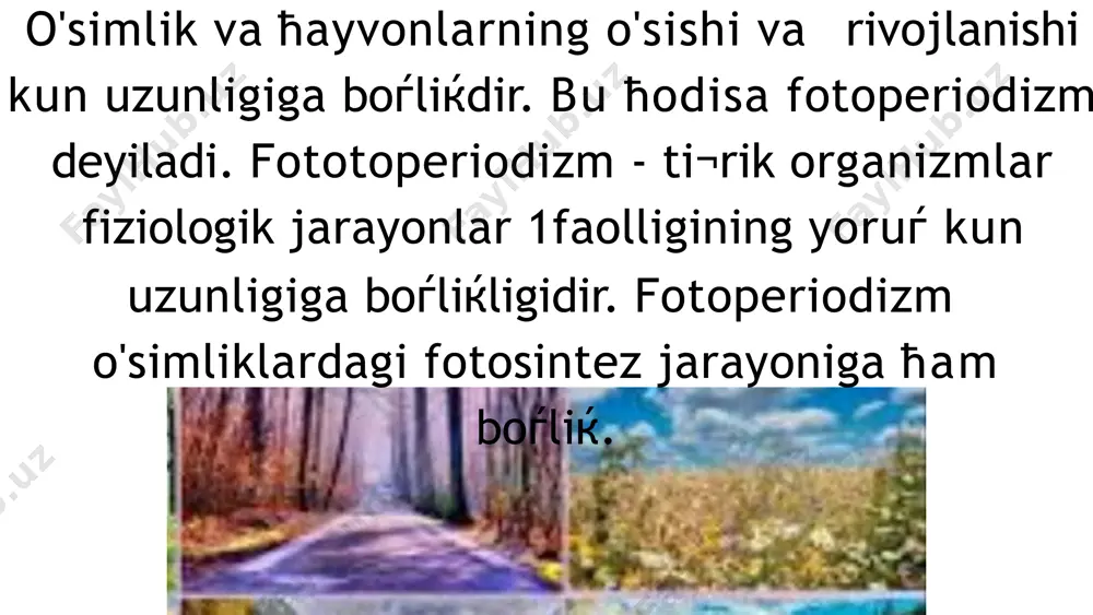 bio_au_23 guruh talabasi toshtemirova barno - Page 4