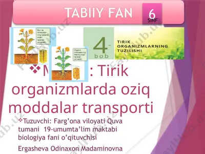 tirik organizmlarda oziq moddalar transporti — PPTX