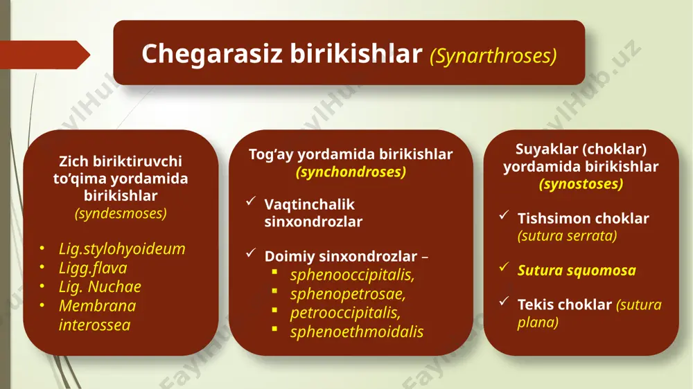 in – gorizontal yuzada ko’krak – frontal yuzada bel – sagittal yuzada o’tkir o’siqlari ligg.interspinalia ligg.supraspinalia ko’ndalang o’siqlari ligg.intertransversaria discus intervertebralisning bo’ylama kesmasi umurtqa pog’onasi boylamlari kalta boylamlar uzun boylamlar (ligamenta longitudinalia) ligg.flava lig.interspinalia lig.intretrnsversaria lig.superspinale lig.nuchae lig.longitudinalis anterior lig.longitudinalis posterior lig. interspinale lig. longitudinalis anterior lig. longitudinalis posterior lig. longitudinale posterius lig. intertransversarium articulatio lumbosacralis lig. iliolumbale articulatio sacrococcygea lig. sacrococcygea lateralis lig. sacrococcygea anterius lig. sacrococcygea posterius superficialis lig. sacrococcygea profundum articilatio atlantooccipitalis bo’g’im suyaklari occipitalis atlas suyakning bo’g’im hosil qilgan qismi condylus occipitalis facies articularis superior massae lateralis bo’g’im klassifikatsiyasi art.simplex art.compositoria art.ellypsoidea ikki o’qli harakat bo’g’imning harakat o’qlari frontal va sagittal o’q bo’ylab fiksatsiya qiluvchi membrana atlantooccipitalis anterior et posterior yordamchi apparat lig.atlantoocipitalis anterior et lateralia articulatio atlantoaxialis lateralis 2 ta juft bo’g’im kam harakat bo’g’im bo’g’im yuzasi to’g’ri va tekis sirpanish harakati amalga oshadi atlasning fovea dentis qismiga axisning densi kirib turishi bilan hosil bo’ladi. …