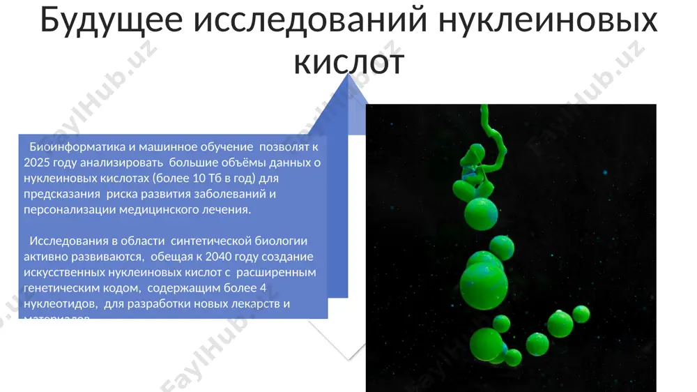 a, s molekulyarnoy massoy, variruyusheysya v shirokom diapazone. ribozimi — eto kataliticheski aktivnie molekuli rnk, uchastvuyushie v razlichnix kletochnix protsessax, vklyuchaya splaysing rnk i translyatsiyu, demonstriruya kataliticheskuyu aktivnost, analogichnuyu fermentam. primenenie nukleinovix kislot v biotexnologii nukleinovie kisloti, v chastnosti dnk, ispolzuyutsya v ptsr (polimeraznoy tsepnoy reaktsii) dlya amplifikatsii spetsificheskix uchastkov genoma, pozvolyaya provodit do 10⁹ kopiy za neskolko chasov. gennaya injeneriya shiroko ispolzuet plazmidi — koltsevie molekuli dnk, kak vektori dlya perenosa tselevix genov v kletki organizmov, dostigaya virajeniya novix belkov. translyatsiya: sintez belka translyatsiya — eto protsess sinteza belka, osushestvlyaemiy ribosomami s ispolzovaniem informatsionnoy rnk (mrnk) v kachestve matritsi. protsess vklyuchaet 3 stadii: initsiatsiyu, elongatsiyu i terminatsiyu. skorost translyatsii zavisit ot mnojestva faktorov, vklyuchaya kontsentratsii ribosom, trnk, faktorov initsiatsii i elongatsii, a takje ot strukturi mrnk; v srednem ribosoma "prochitivaet" okolo 20 aminokislot v sekundu. spasibo za vnimanie @taqdimot_robot image4.jpg image5.jpg image6.jpg image7.jpg image8.jpg image9.jpg image10.jpg image11.jpg image12.jpg image13.jpg …