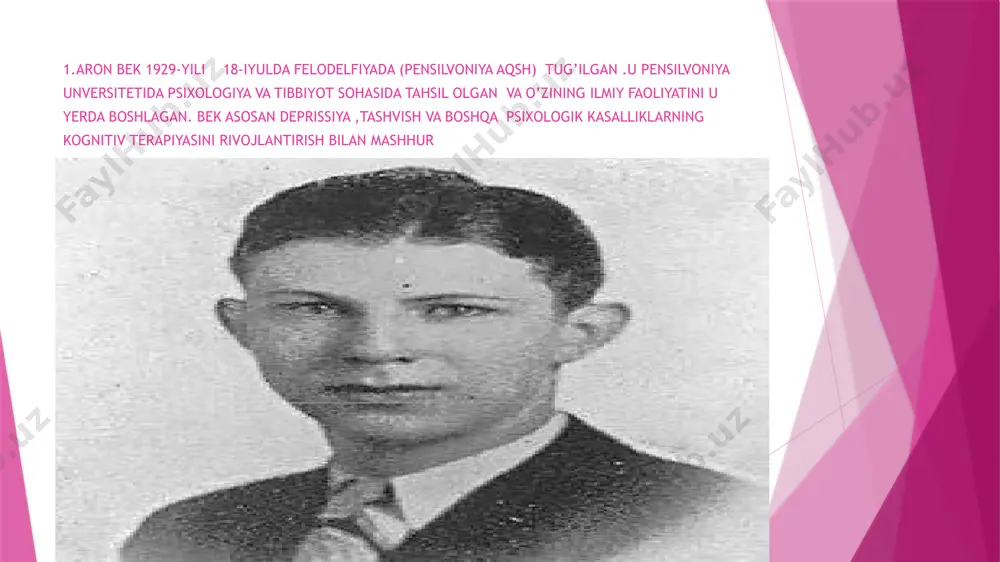 aron bekning kognitiv terapiyasi - Page 3