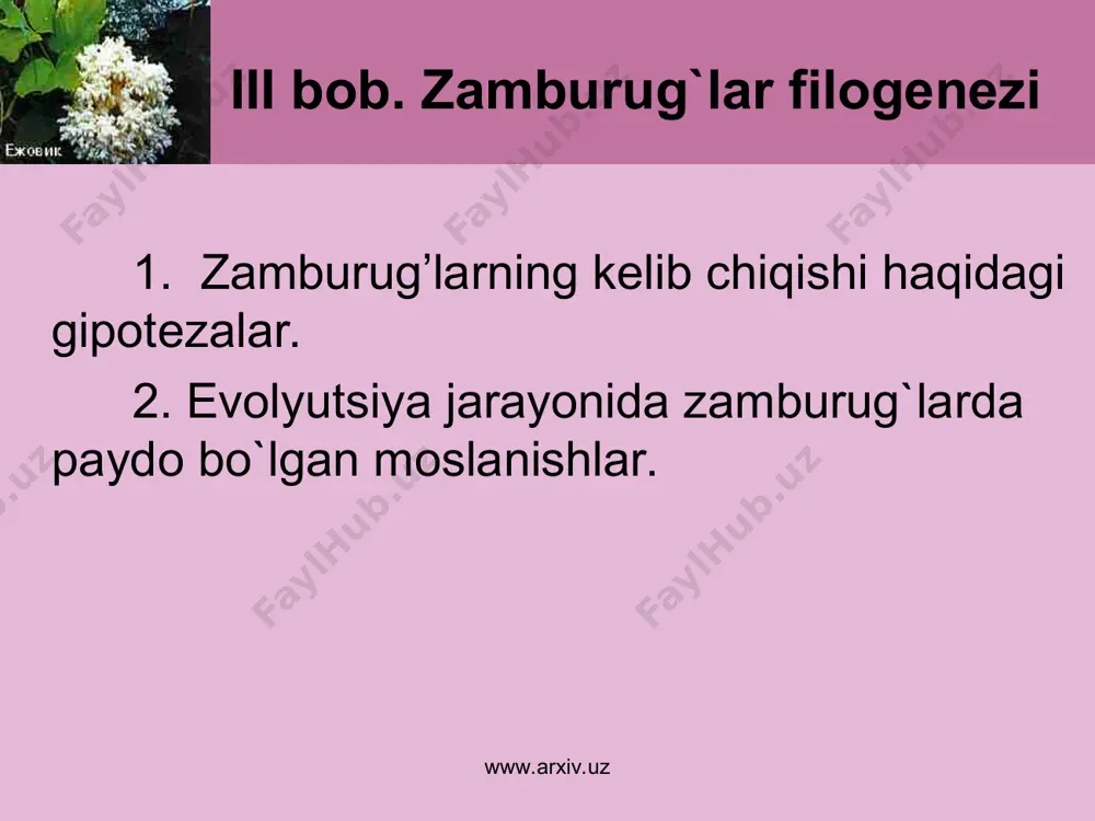 lum darajada qoplovchi, o‘tkazuvchi va zapas oziq to‘plovchi to‘qimalarga differensiatsiyalangan bo‘ladi. www.arxiv.uz www.arxiv.uz zamburug‘lar hayot siklining qisqa va uzoq bo‘lishiga qarab, bir yillik, ikki yillik va ko‘p yilliklarga bo‘linadi. bir yillik zamburug‘lar- bir yillpk zamburug‘lar ko‘p emas. ularning hayot sikli bir yilga bormay tugaydi. suv zamburug‘laridan saprolegniya, yuksak zamburug‘lardan bug‘doy toshkuyasi, arpa toshkuyasi va boshqalar shu xil zamburug‘lardan hisoblanadi. ikki yillik zamburug‘lar – ikki yilliklar yuqori o‘simliklarda parazitlik qilib yashovchi talay zamburg‘lar kiradi. ular odatda yuqori o‘simliklarning vegetatsion davri boshlanishi bilan tirik to‘qimalarga o‘tib, u yerda taraqqiy eta boshlaydi. lekin mitseliysi halok bo‘lmaydi, o‘simlikning o‘lik to‘qimalarida saprofitlik bilan bahorgacha yashaydi. ko‘klamda shu o‘simlikning o‘zida sporalaridan bir xili rivojlanadi va hayot siklini tugallaydi. bunga zang zamburug‘i va shu singarilar misol bo‘ladi. zamburug‘larning aksari ko‘p yillik bo‘lib, daraxtlarning tirik yoki o‘lik yog‘och qismida va to‘qimalarida, o‘t o‘simliklarning tana, ildiz, ildizpoya va piyozboshlarida parazitlik bilan yashaydi va ularni halok o‘tib, halok bo‘lgan organizmning …