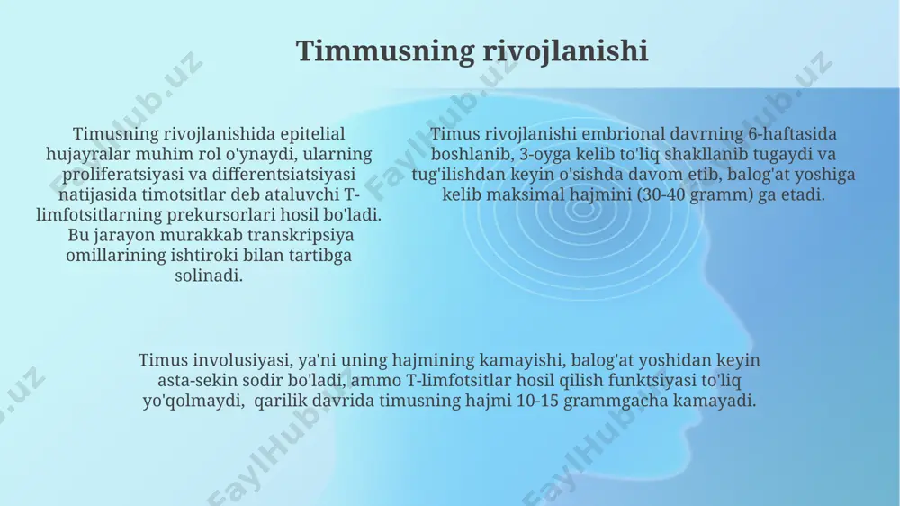 timus tuzulishi, taraqqiyoti va vazifasi - Page 5