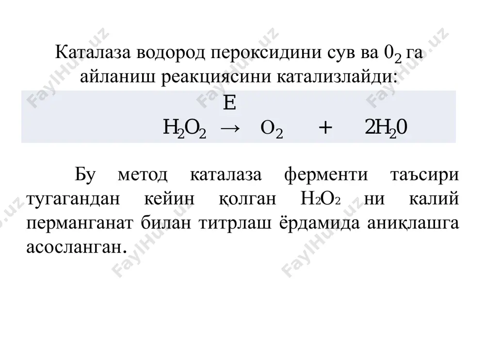 katolaza fermenti - Page 4
