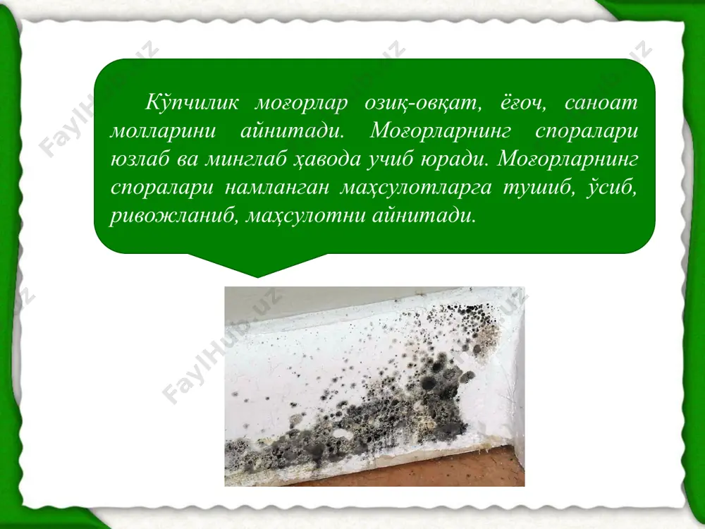 моғор замбуруғлари, дрожжа ва вируслар - Page 5