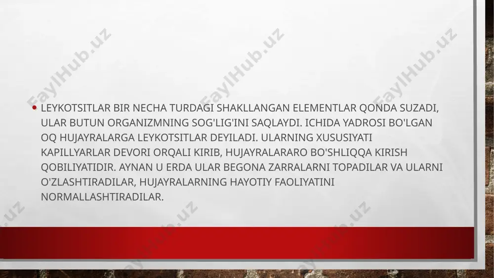 ning qaysi funktsiyalarini bajarishni to'xtatganiga bog'liq. jarayon hisoblanadi leykopeniyaning aksi, qondagi leykotsitlar sonining ko'payishi leykotsitoz deb ataladi. ammo, leykopeniyadan farqli o'laroq, bu har doim ham patologiya emas. bunday holda, ba'zida odamda bu hujayralar sonining fiziologik o'sishi borligi aytiladi. leykopiniya odamning bunday holatlarida sodir bo'ladi: ayollarda hayz ko'rishdan oldin; ovqat miqdori yaxshi bo‘lmaganda hissiy shok davrida; homilador ayollarda. leykopiniya jarayonalri kuzatiladi leykotsitoz bir qancha patologik yallig’lanish uchun xarakatli biroq sog’lom insonda ham kuzatiladi (ovqat hazm qilishda jismoniy mehnatda va hokoza) tajribada shuni isbotlashganki studentlar qiyin imtihonlar paytida leykotsitlar miqdori ko’paygan 11000tagacha yetganini qayd etishgan leykotsitlar miqdorning ortib ketishi ham kamayib ketishi ham organizm uchun zararli hisoblanadi odam organizmidagi leykotsitlar miqdori normadan chiqmasligi kerak leykotsitlarning har bir shaklining umri boshqacha. masalan, granulotsitlar 10 kundan so'ng o'la boshlaydi, immunitet tizimi uchun ayniqsa muhim bo'lgan limfotsitlar inson organizmida bir necha yil ishlaydi, shundan so'ng ular yangilari bilan almashtiriladi. monotsitlar eng qisqa umrga ega, bu …