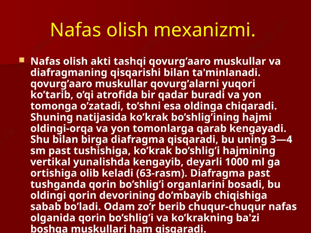 og'izni-og'izga qo'yib sun'iy nafas beriladi, ya'ni bemor o'pkasiga ma'lum bosim (700 ml) ostida havo yuboriladi. image1.png image2.jpeg image3.jpeg image4.jpeg image5.jpeg image6.jpeg image7.jpeg image8.jpeg image9.png image10.jpeg /docprops/thumbnail.jpeg