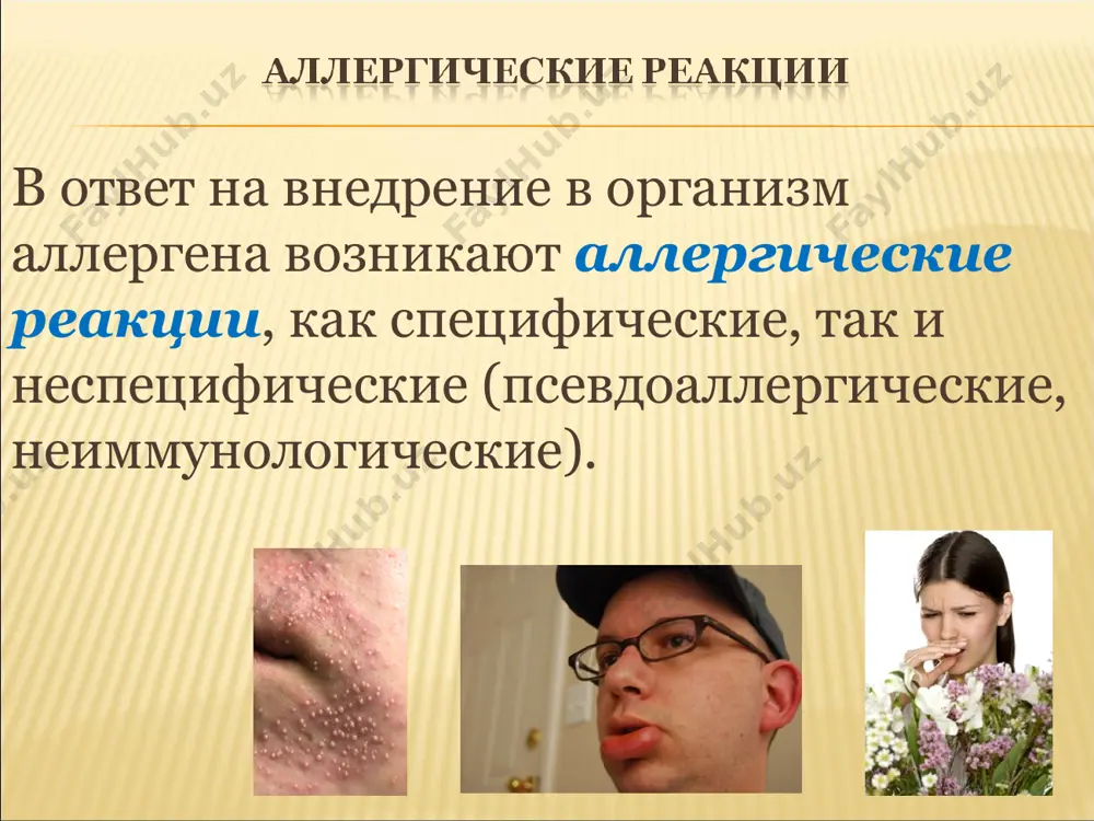 астив лаброциты (тучные клетки) и базофилы, на которых фиксируются антитела-реагины (1). при присоединении к этим антителам соответствующих аллергенов (2) из тучных клеток высвобождаются медиаторы: гистамин, повышающий проницаемость сосудов и вызывающий спазм гладких мышц, эозонофильные хемотаксические факторы (эхф), вызывающие хемотаксис эозинофилов, высокомолекулярный нейтрофильный хемотаксический фактор (внхф), обеспечивающий хемотаксис нейтрофилов, тромбоцитактивирующий фактор (таф), вызывающий агрегацию тромбоцитов и освобождение из них гистамина и серотонина. активированные медиаторами эозонофилы выделяют вторичные медиаторы: диаминооксидазу (дао), арилсульфатазу (ас). активированные нейтрофилы освобождают таф и лейкотриены (лт). в развитии поздней фазы реакции (ii) принимают участие макрофаги, эозинофилы и тромбоциты. на них также фиксируют антитела-реагины (1). при соединении с соответствующим аллергеном (2) из клеток выделяются медиаторы, вызывающие повреждение и развитие воспаления, — катионные белки, активные формы кислорода (афк), пероксидаза, а также тромбоцитактивирующий фактор (таф), лейкотриен (лтв4). второй тип аллергических реакций — цитотоксический, при котором аллергенами становятся клетки ткани. обычно это происходит в результате повреждающего действия лекарственных препаратов, ферментов бактерий и …