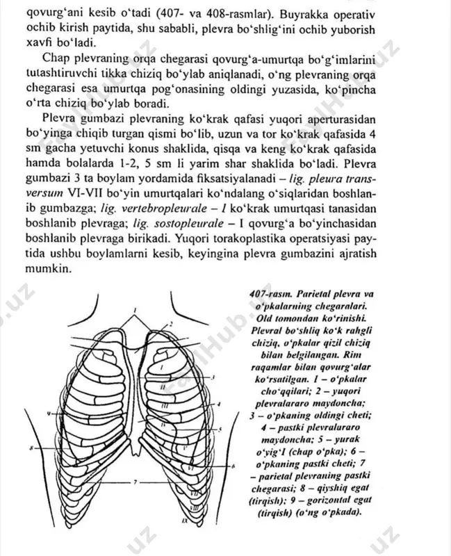 plevra - Page 5